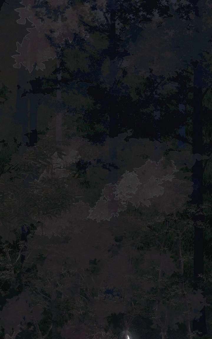 ch 25 65