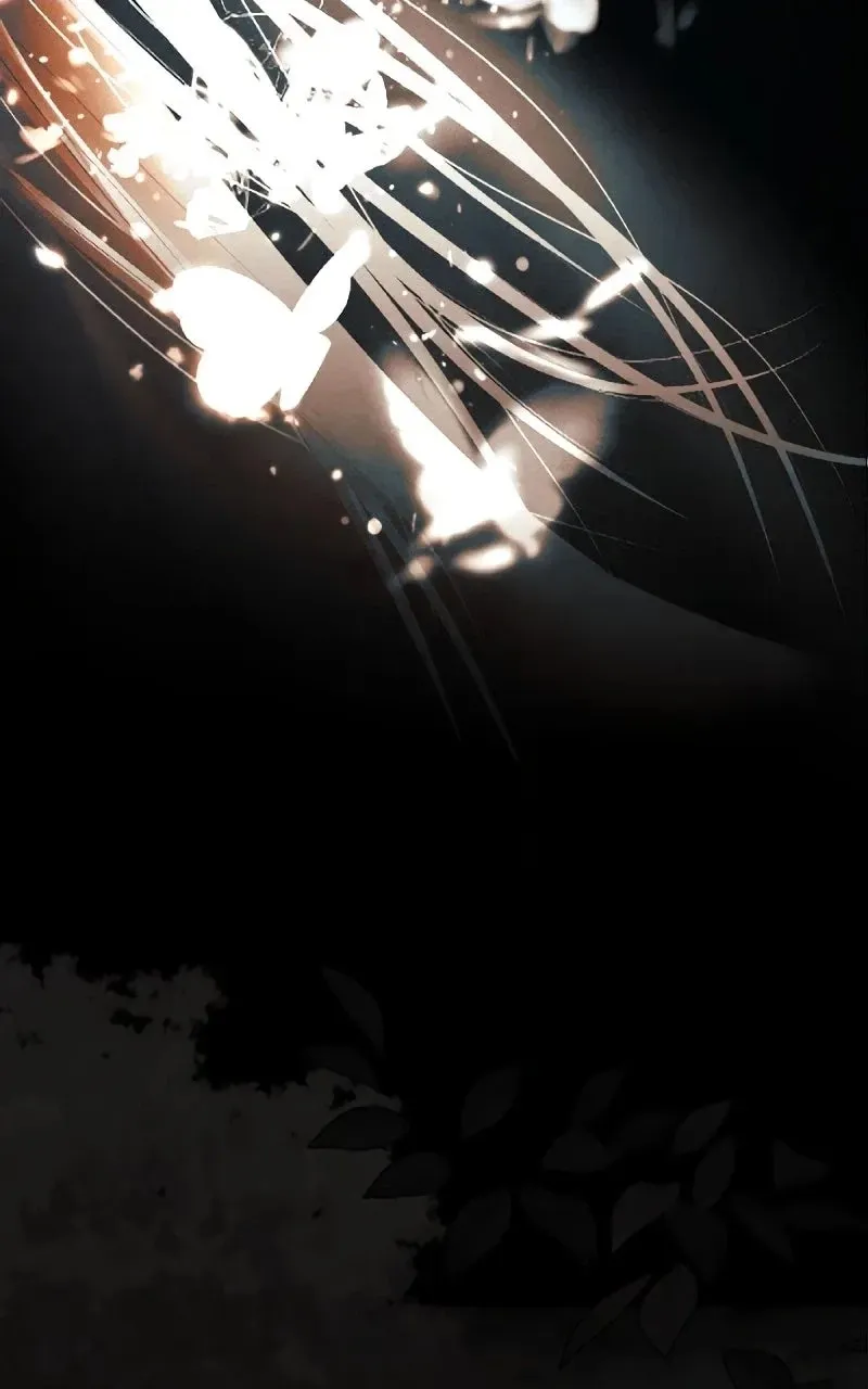 2bc66e8418c0