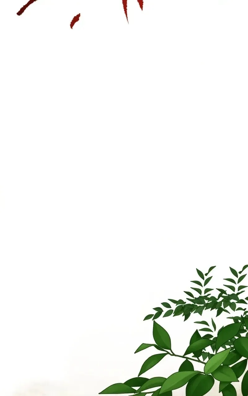 3ce56493246e