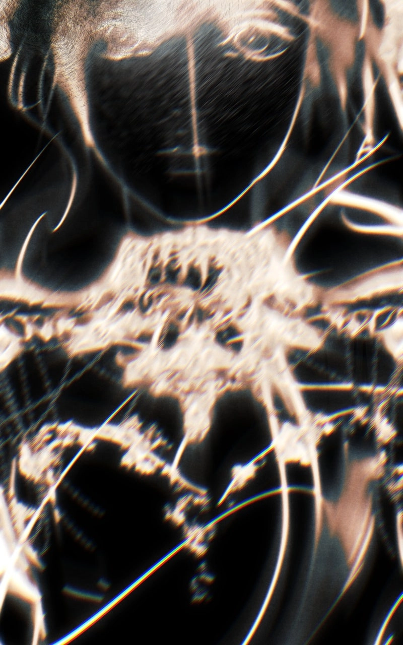 d68b04fb861f