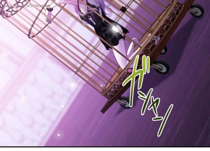 The Quiet Night You Disappeared Nowhere to Run from the Husband I Divorce Chapter 19 405 083