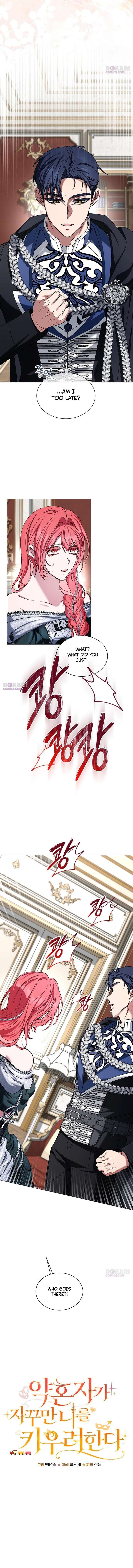 ch 41 4