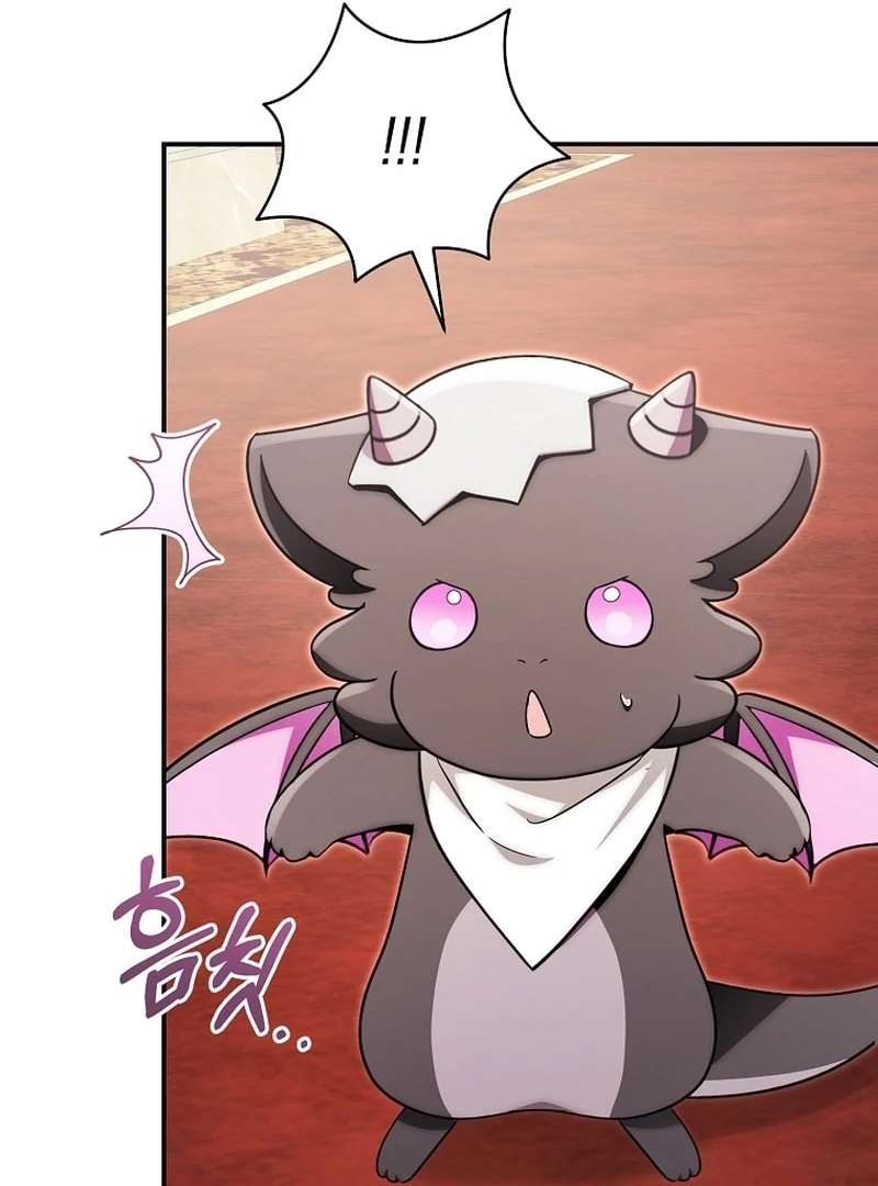 Baby Dragon to the Duke’s Rescue Chapter 28 349 009
