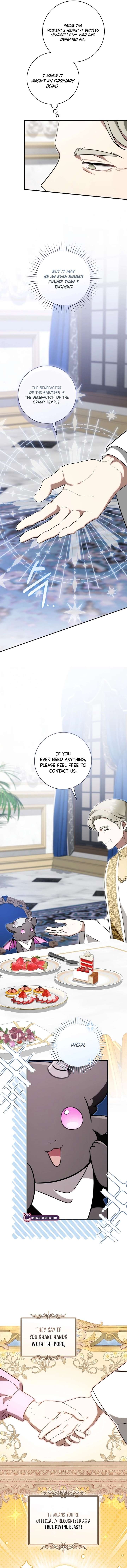 ch 41 3
