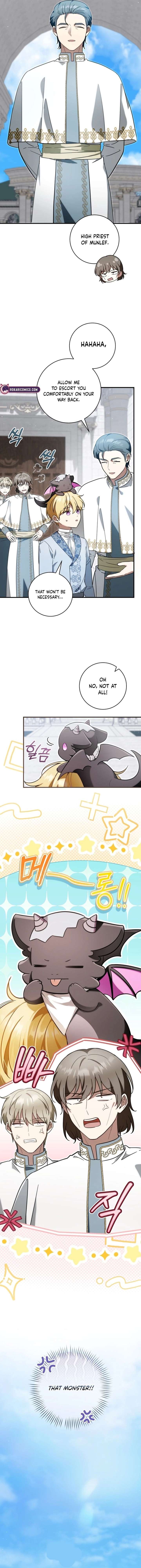 ch 41 6