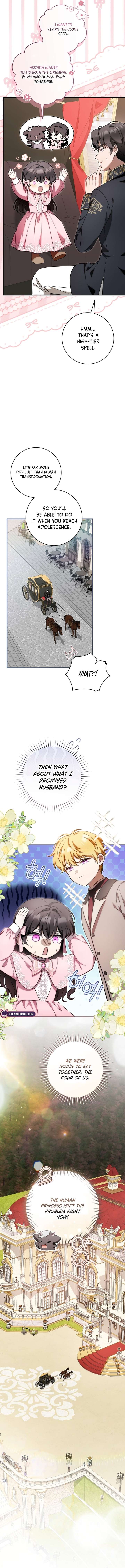ch 42 5