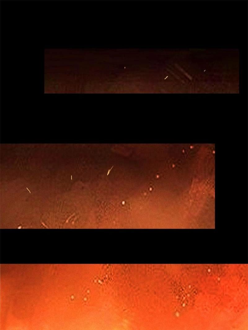 ch 174 12