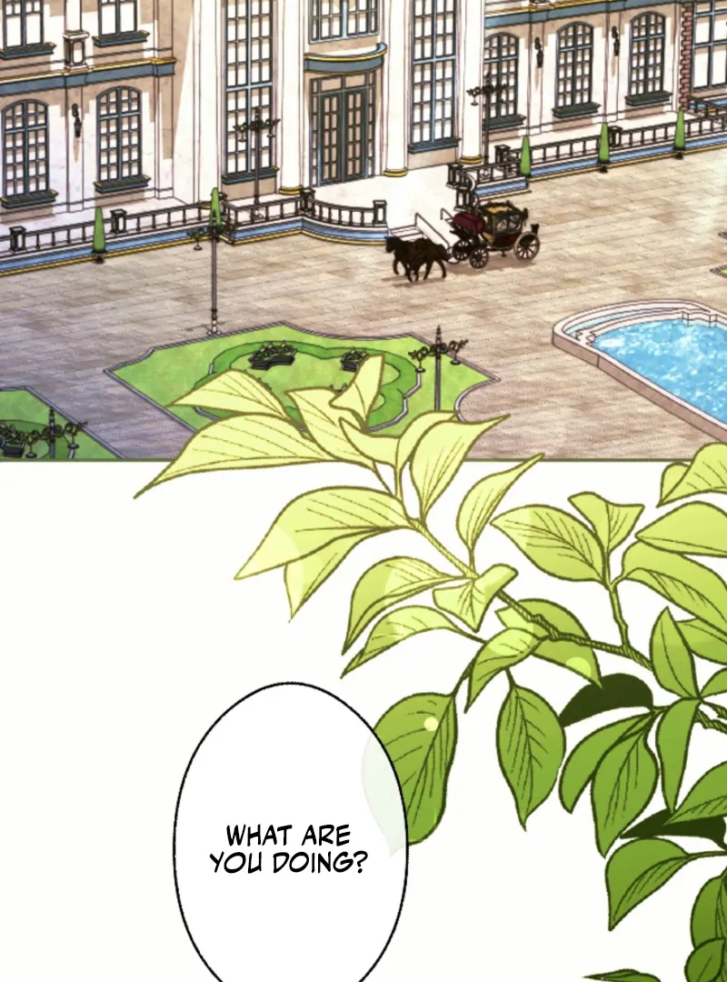 In This Life, I Will Charm My Ruthless Duke Husband Chapter 3 381 032