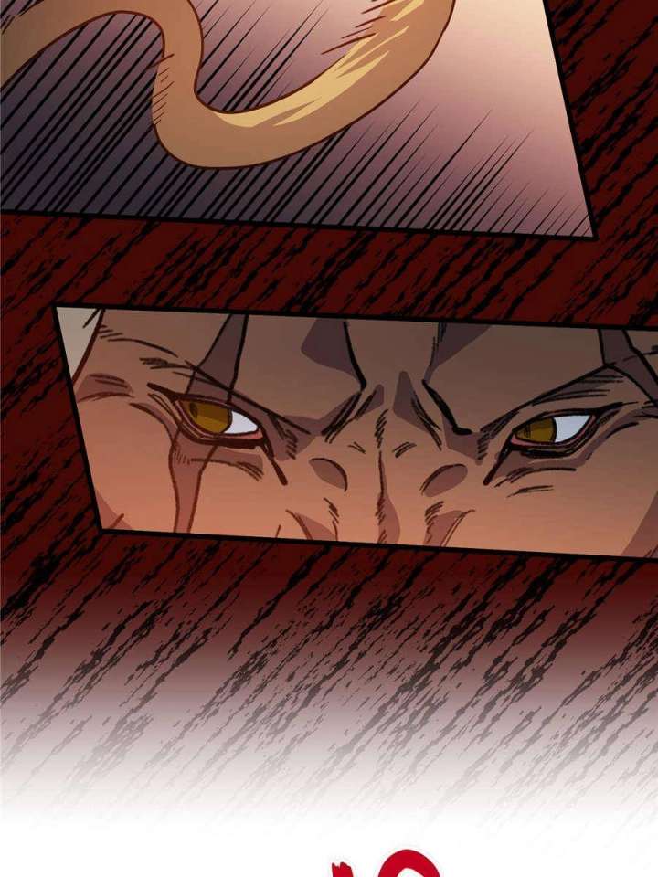 ch 155 6