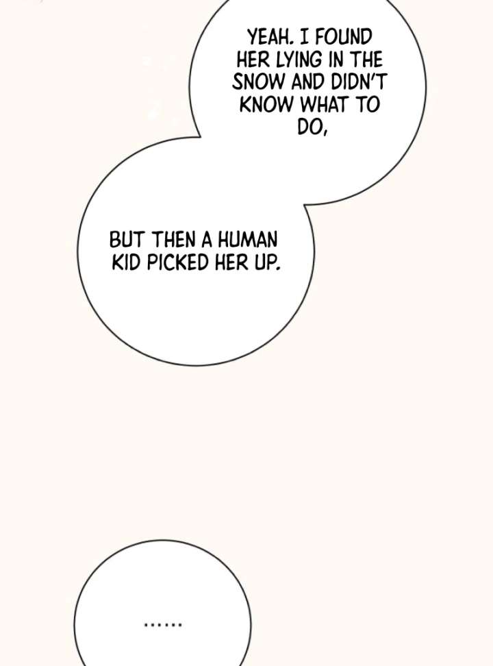 I Opened an Illegal Veterinary Clinic in Another World Chapter 3 489 110