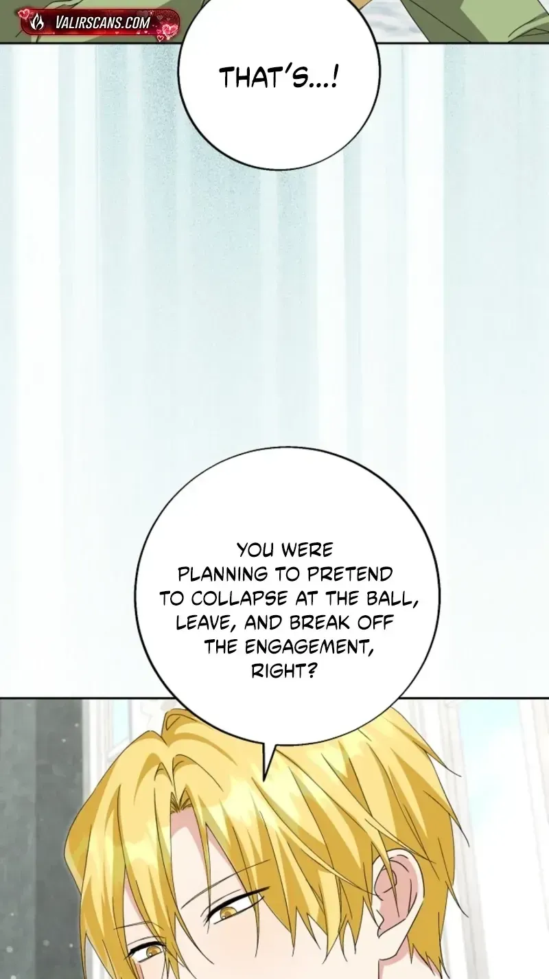 I Opened an Illegal Veterinary Clinic in Another World Chapter 43 382 0a43976b4c2a