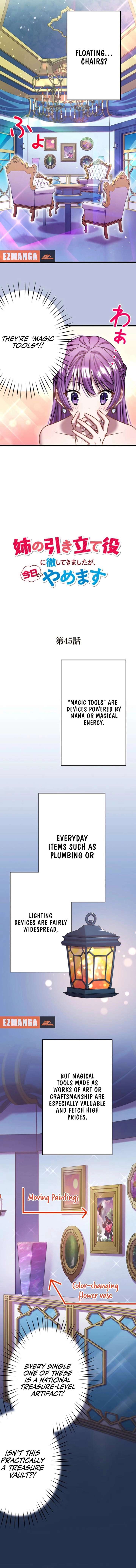 I’m Done Being My Big Sister’s Sidekick Chapter 45 47 10