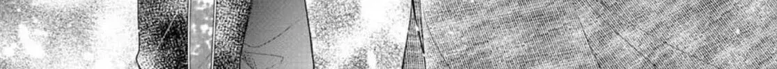 ac05a307ea6d