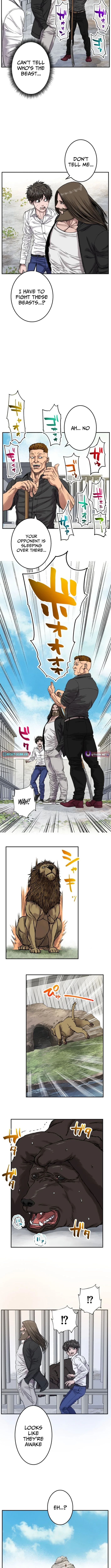 005