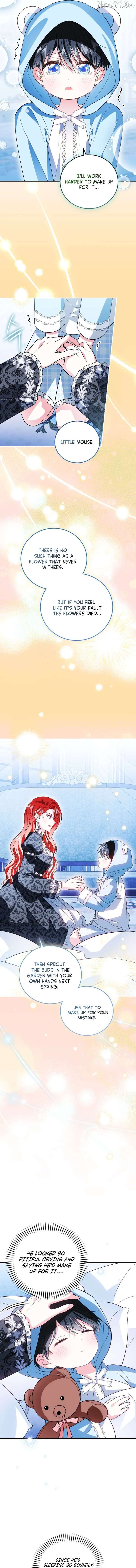 ch 40 11
