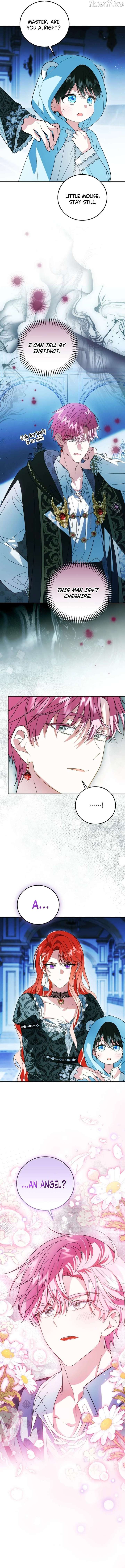 ch 40 15