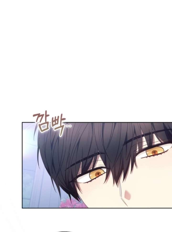 The Strong lady Wishes to Become Delicate Chapter 13 444 104