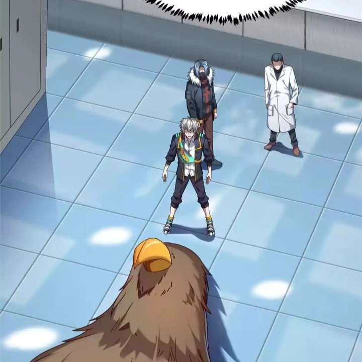 43