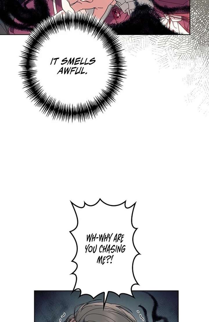 The Super-Strong Noble Lady Wants to Be Truly Weak Chapter 10 436 072