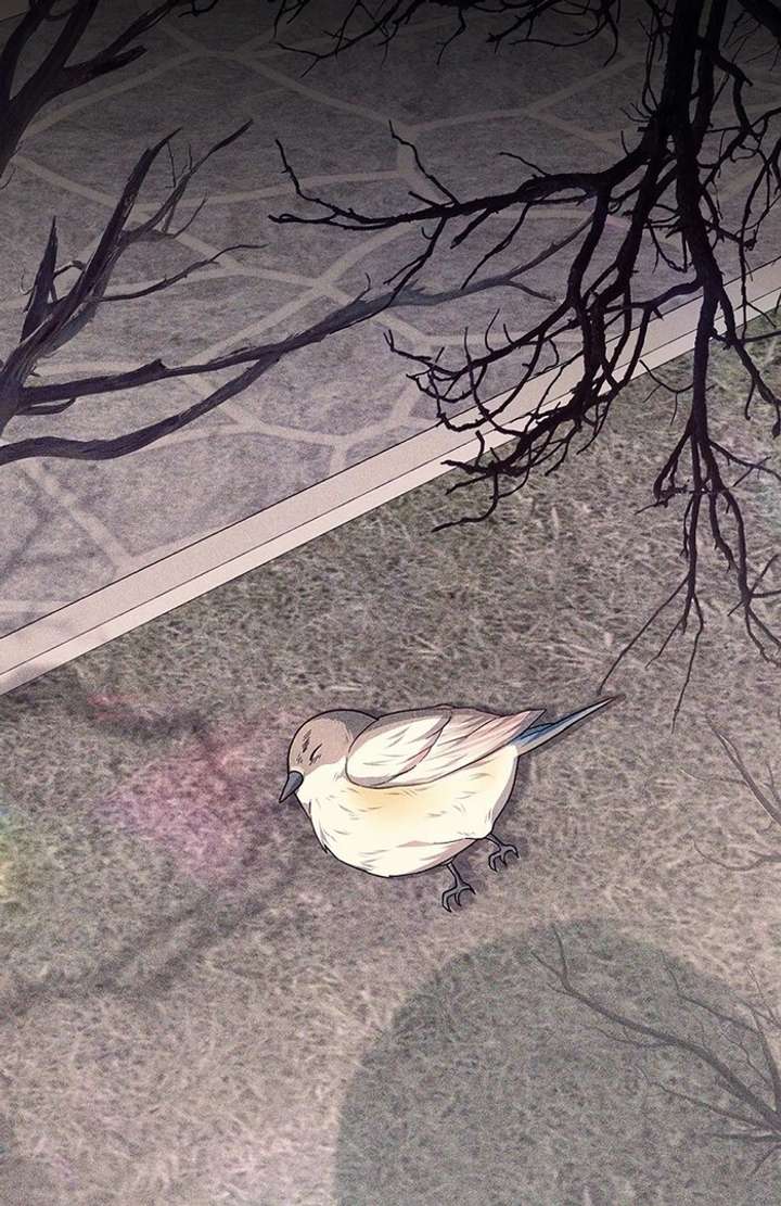 The Super-Strong Noble Lady Wants to Be Truly Weak Chapter 11 368 022