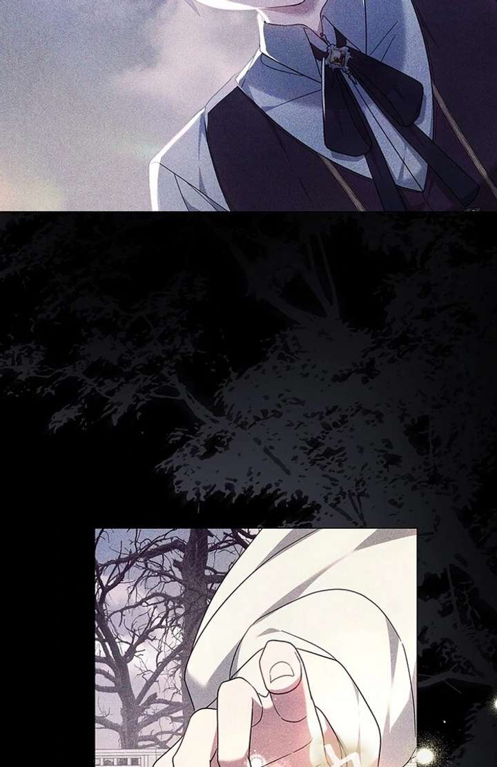 The Super-Strong Noble Lady Wants to Be Truly Weak Chapter 11 370 024