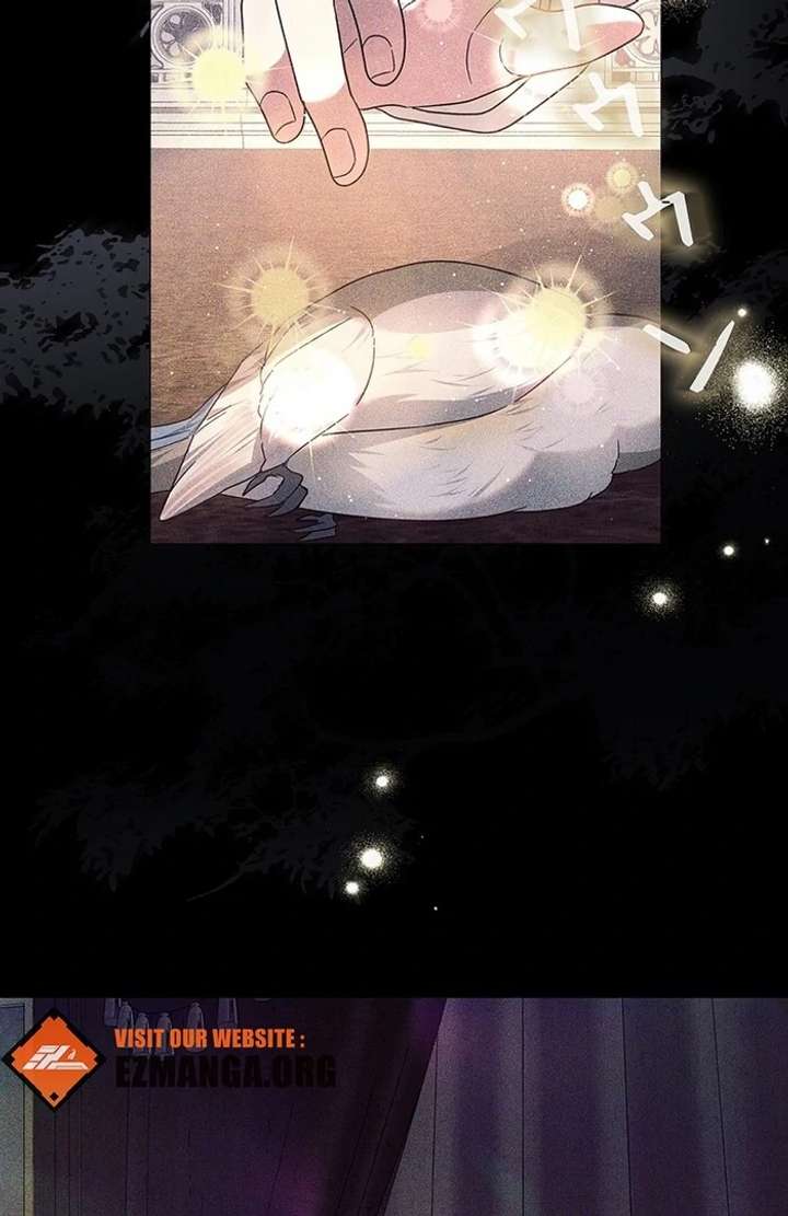 The Super-Strong Noble Lady Wants to Be Truly Weak Chapter 11 371 025