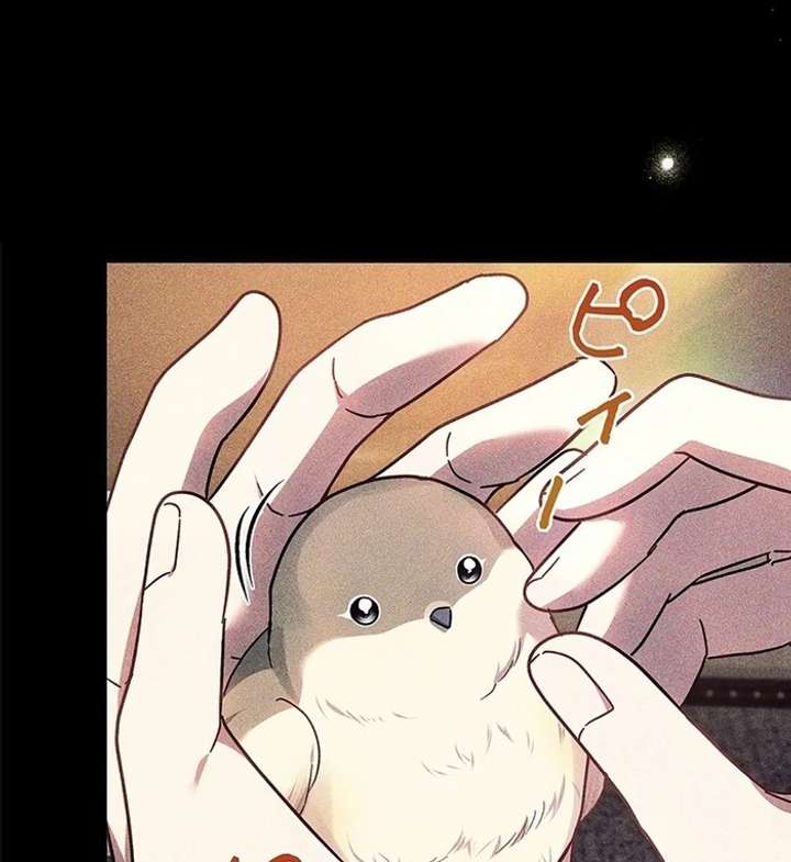 The Super-Strong Noble Lady Wants to Be Truly Weak Chapter 11 373 027