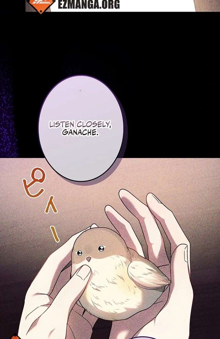 The Super-Strong Noble Lady Wants to Be Truly Weak Chapter 11 386 040