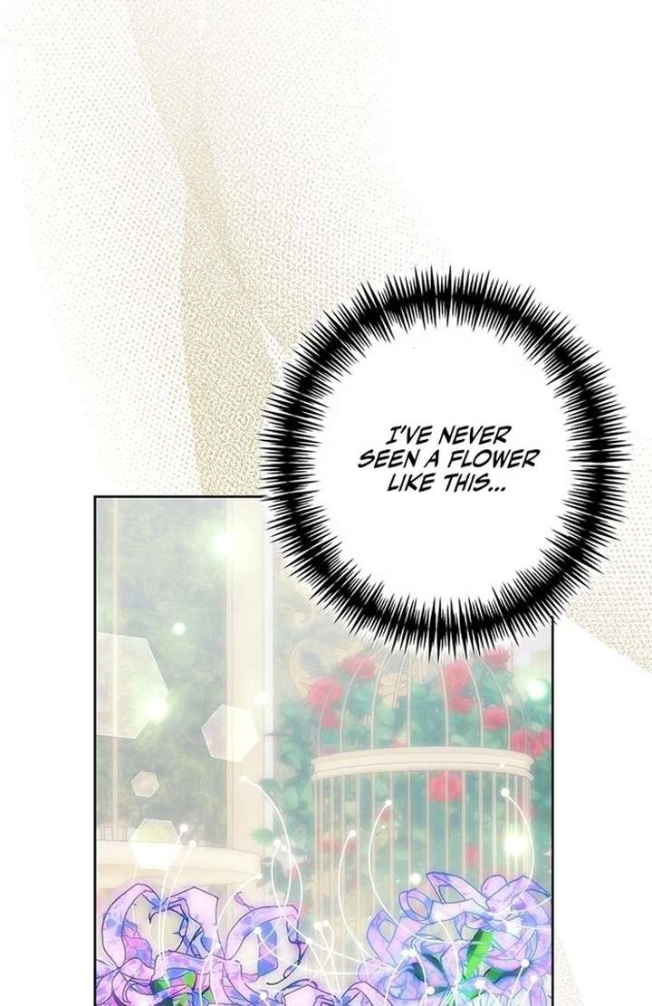 The Super-Strong Noble Lady Wants to Be Truly Weak Chapter 12 392 037