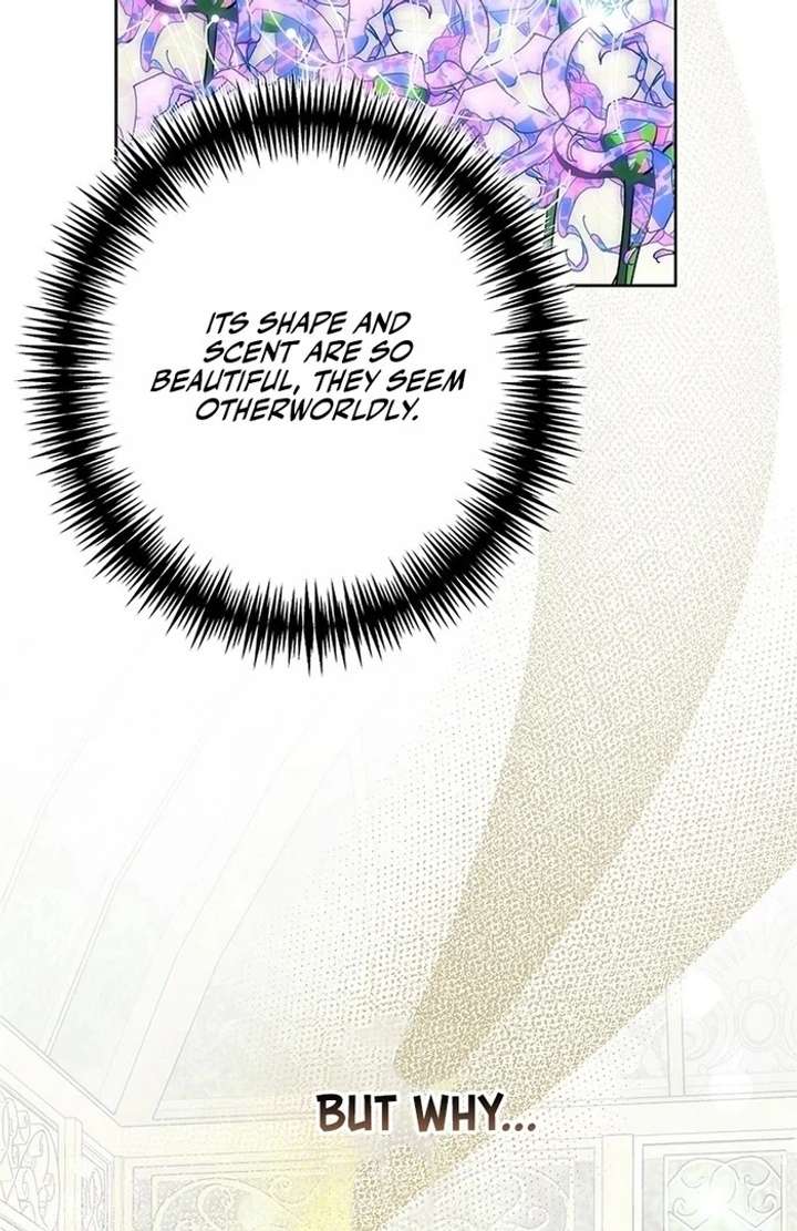 The Super-Strong Noble Lady Wants to Be Truly Weak Chapter 12 393 038