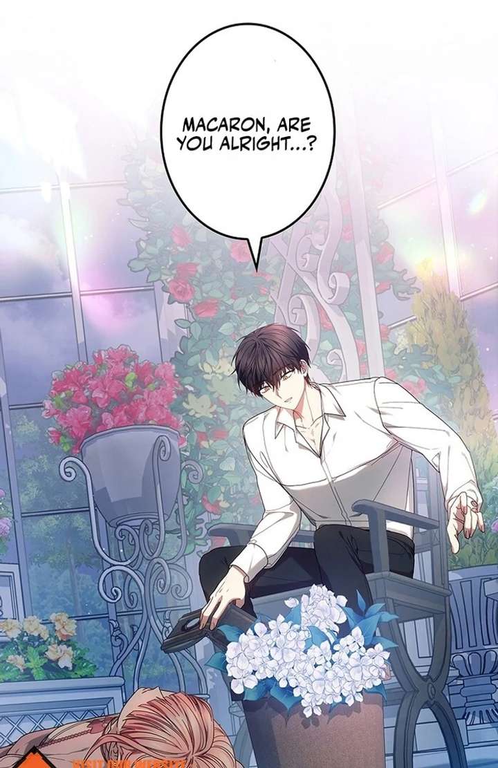 The Super-Strong Noble Lady Wants to Be Truly Weak Chapter 14 271 03