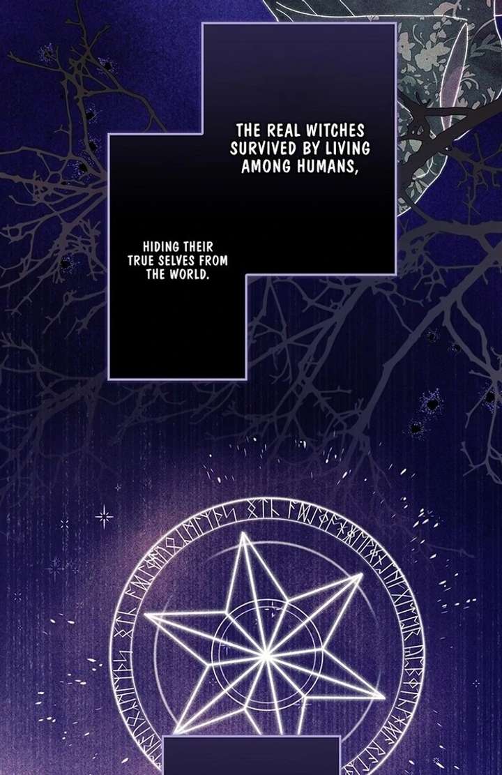 The Super-Strong Noble Lady Wants to Be Truly Weak Chapter 15 426 092