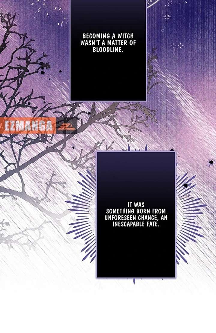 The Super-Strong Noble Lady Wants to Be Truly Weak Chapter 15 427 093