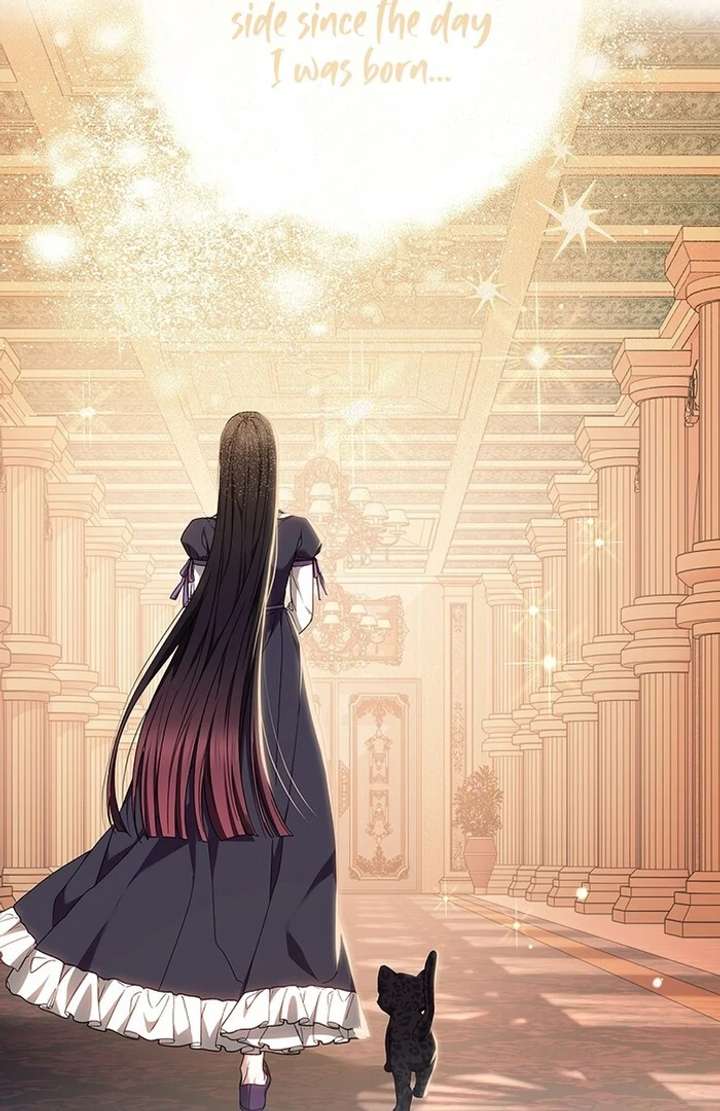 The Super-Strong Noble Lady Wants to Be Truly Weak Chapter 15 440 106