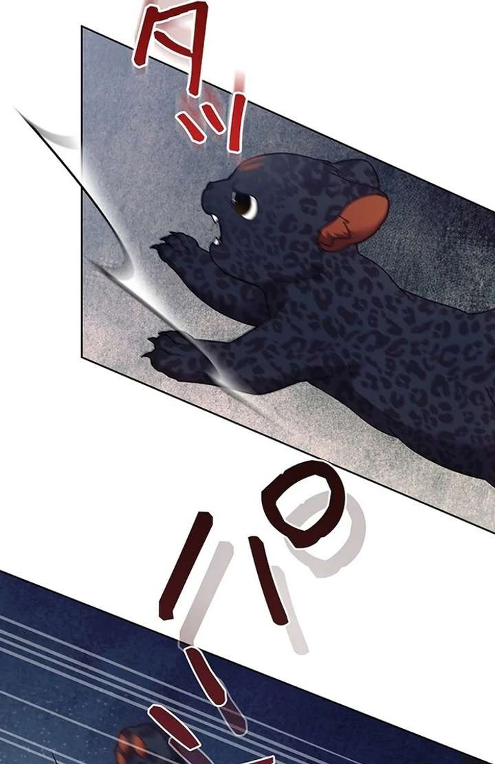 The Super-Strong Noble Lady Wants to Be Truly Weak Chapter 16 338 58