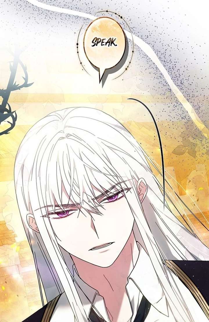 The Super-Strong Noble Lady Wants to Be Truly Weak Chapter 17 371 88