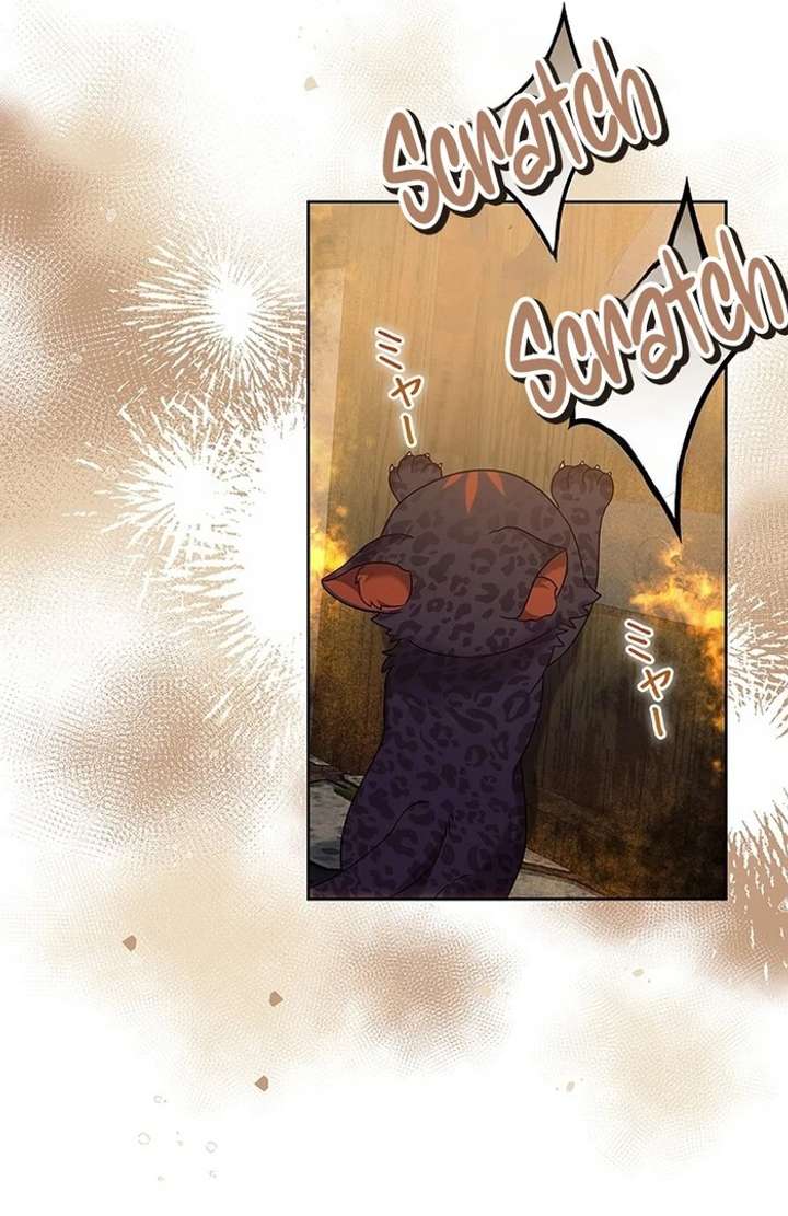 The Super-Strong Noble Lady Wants to Be Truly Weak Chapter 18 302 49