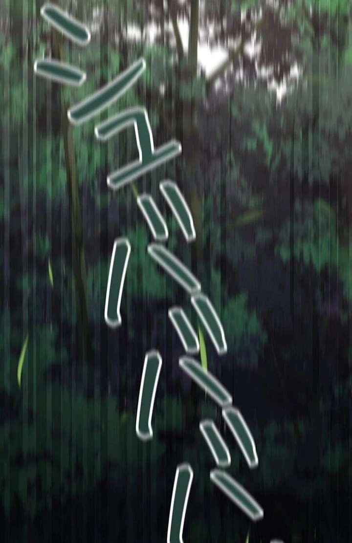 The Super-Strong Noble Lady Wants to Be Truly Weak Chapter 2 793 054