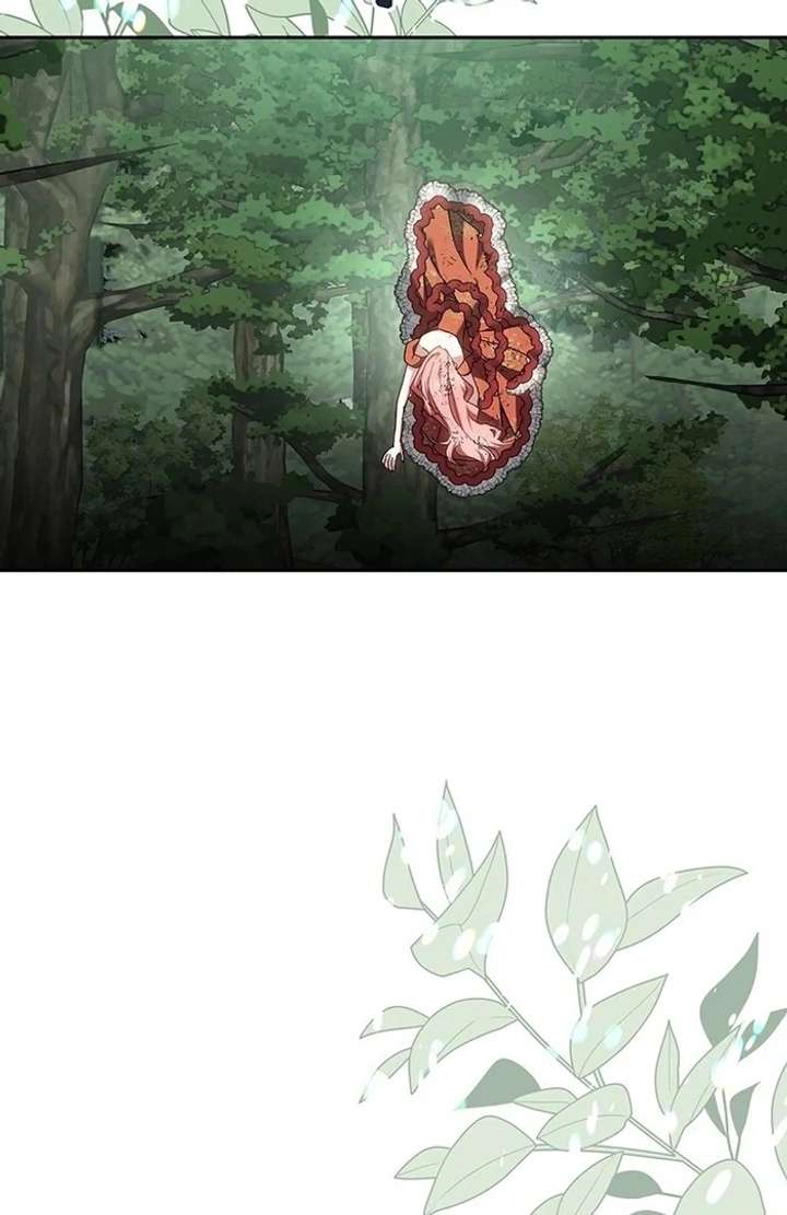 The Super-Strong Noble Lady Wants to Be Truly Weak Chapter 2 795 056