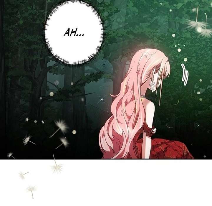 The Super-Strong Noble Lady Wants to Be Truly Weak Chapter 2 801 062