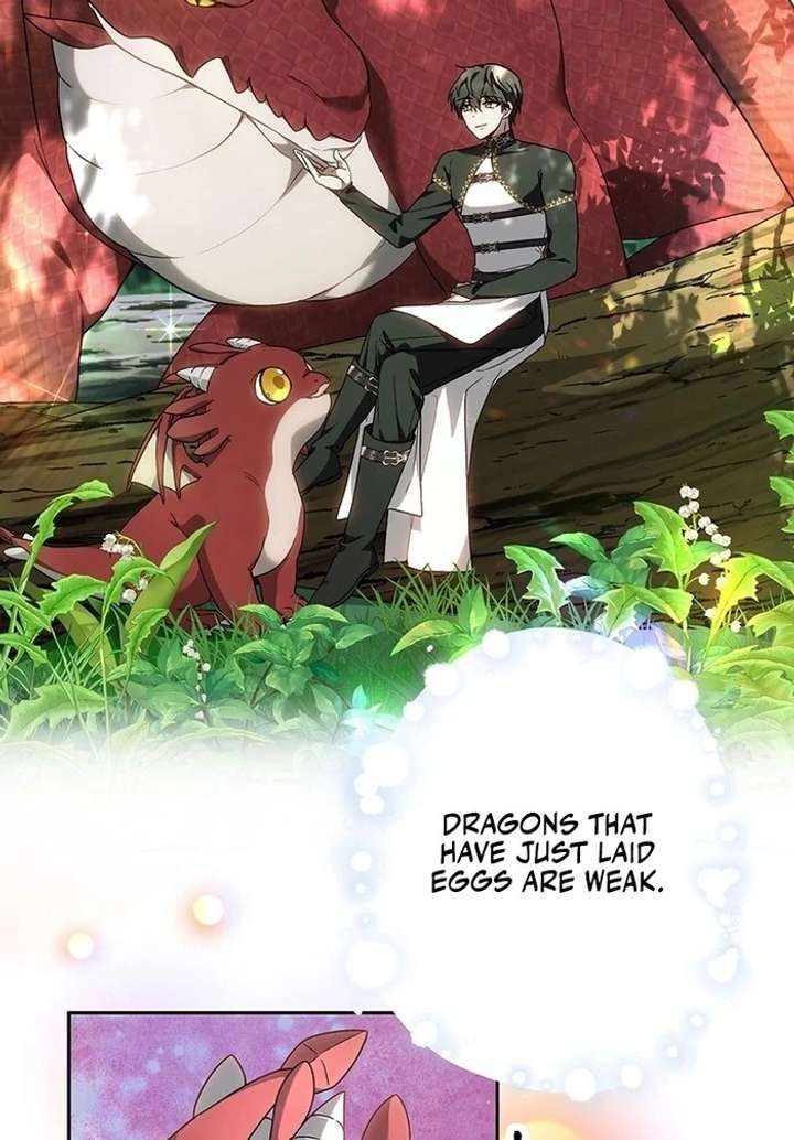 The Super-Strong Noble Lady Wants to Be Truly Weak Chapter 2 966 227