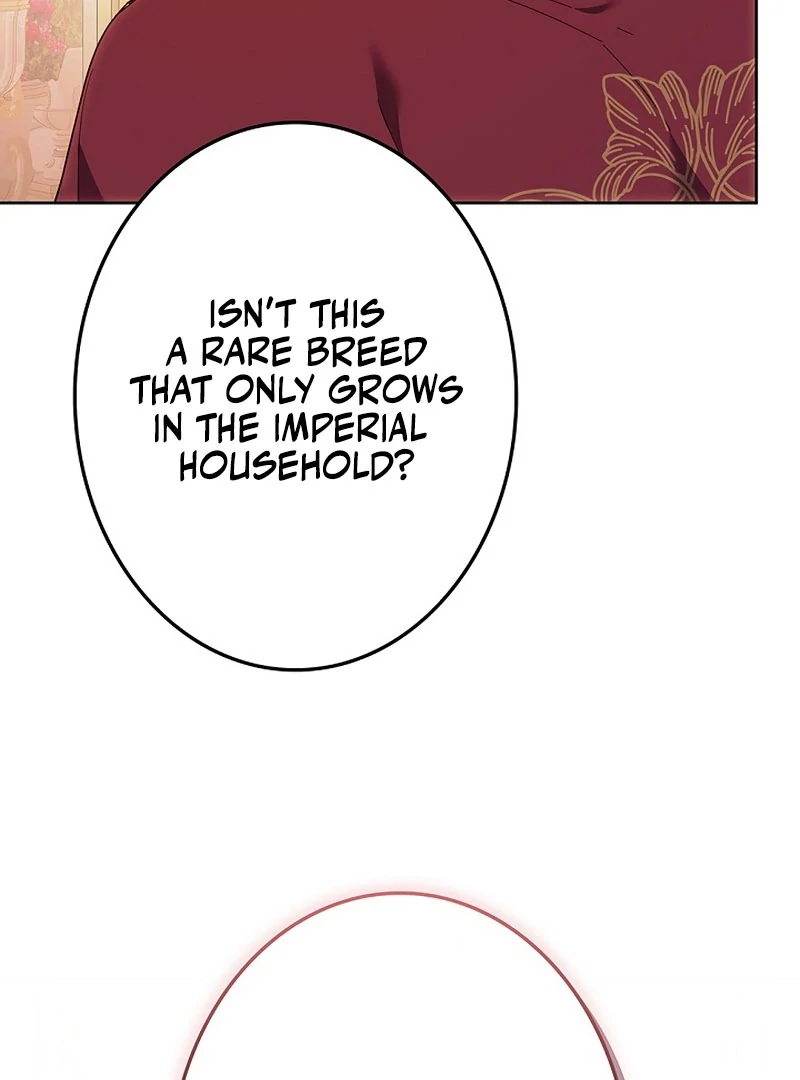 The Super-Strong Noble Lady Wants to Be Truly Weak Chapter 20 472 105