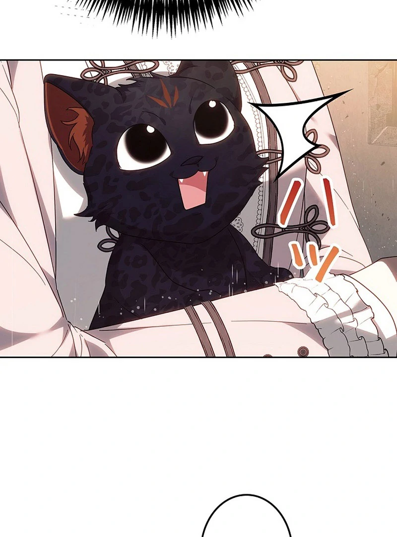 The Super-Strong Noble Lady Wants to Be Truly Weak Chapter 22 357 041