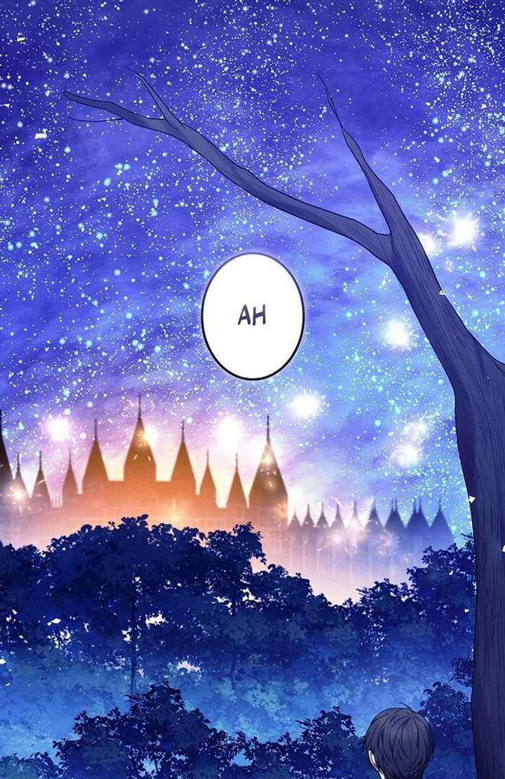 The Super-Strong Noble Lady Wants to Be Truly Weak Chapter 4 548 103