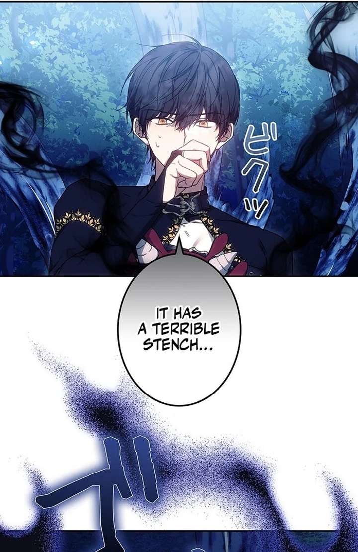 The Super-Strong Noble Lady Wants to Be Truly Weak Chapter 5 467 085