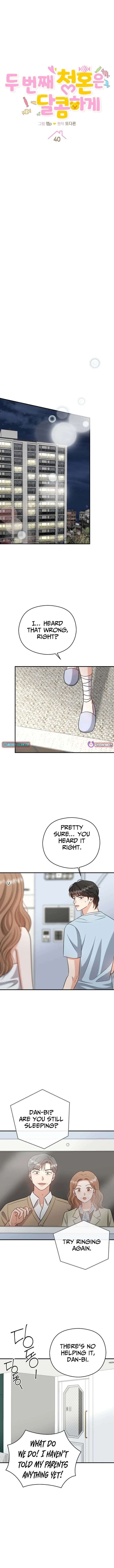 ch 40 2
