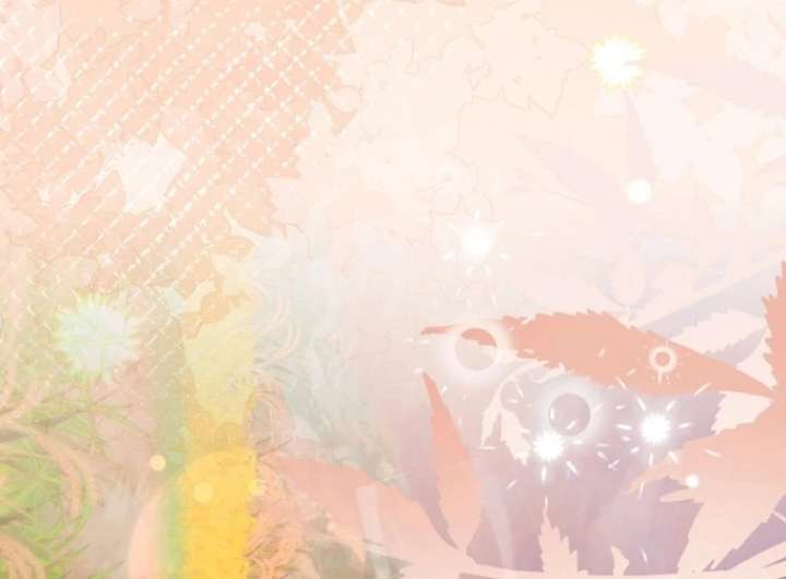 The Seventh Marriage Awaits Chapter 16 619 093