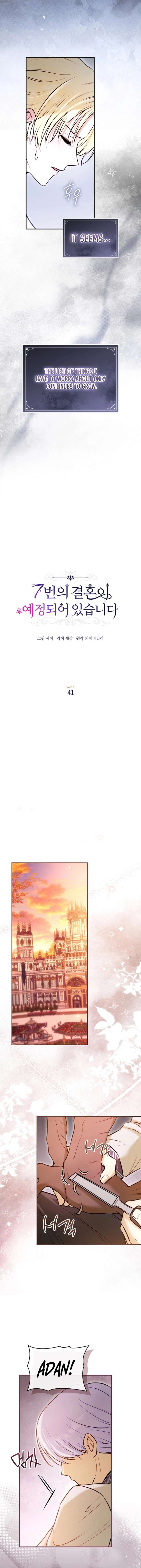 ch 41 3