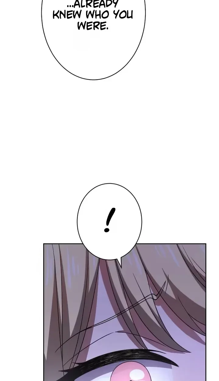 cf367aa6f91c