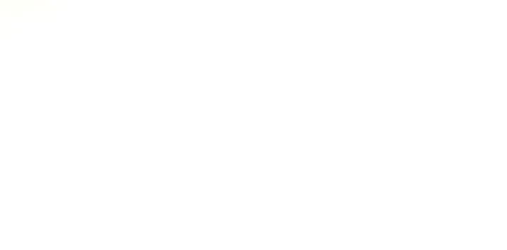 e800954dab32